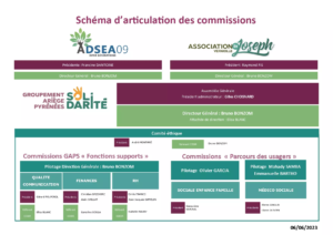 2023 Schéma d’articulation des commissions du GAPS - Copie_page-0001