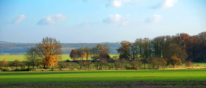 paysage-campagne-automne